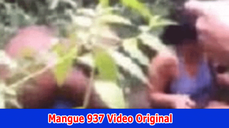 Mangue 937 Video Original: (2023) Track down Data On Caso Bocah Video Unique 937 Reddit, Twitter