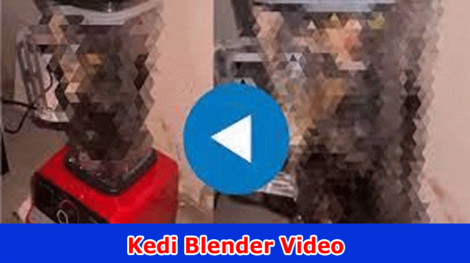 [Full Video Link] Kedi Blender Video-Actually take a look at Viral On Reddit, Tiktok, Instagram, Youtube, Message, Twitter, and Olayı Video