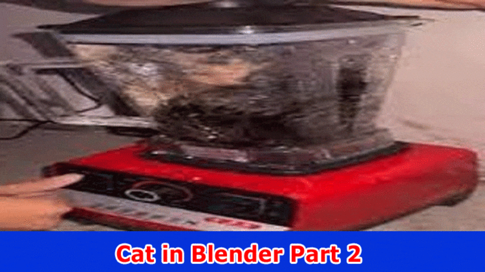 [Update] Cat in Blender Part 2: Actually look at Realities for Viral Substance Here At this point!