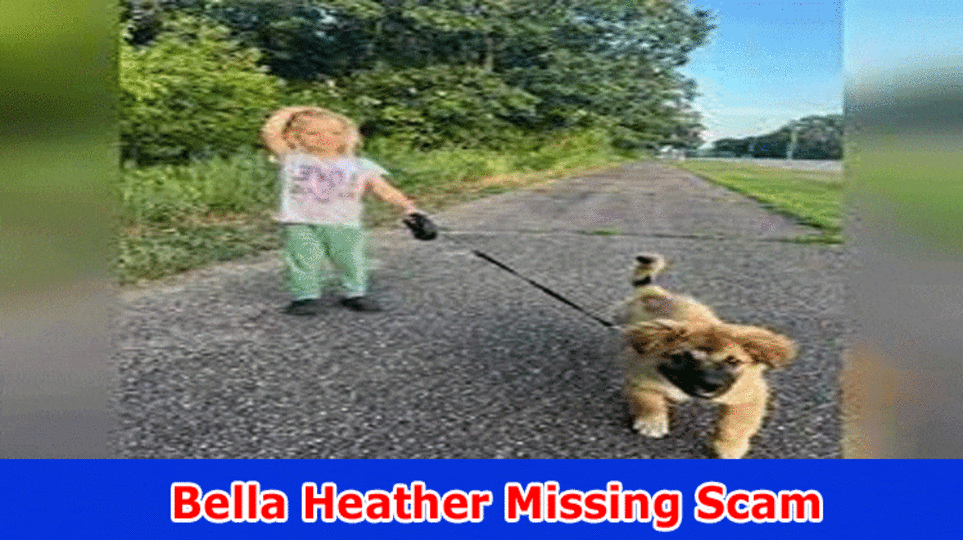 Bella Heather Missing Scam: Peruse Various Angles To Choose If She Is Truly Absent Or Not