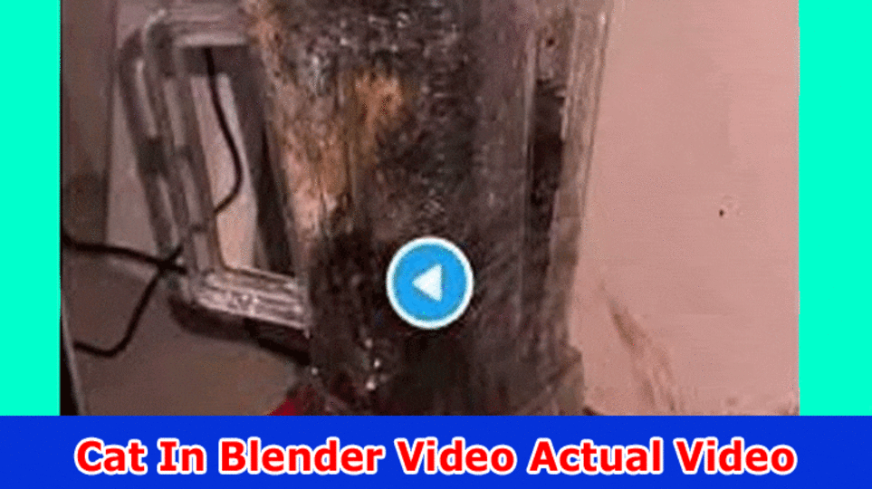 [Full New Video Link] Cat In Blender Video Actual Video: Check Full Update On Person Places Feline in Blender Video Twitter