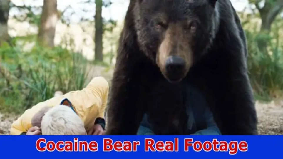 Cocaine Bear Real Footage: What exactly happened? Find Out Here!