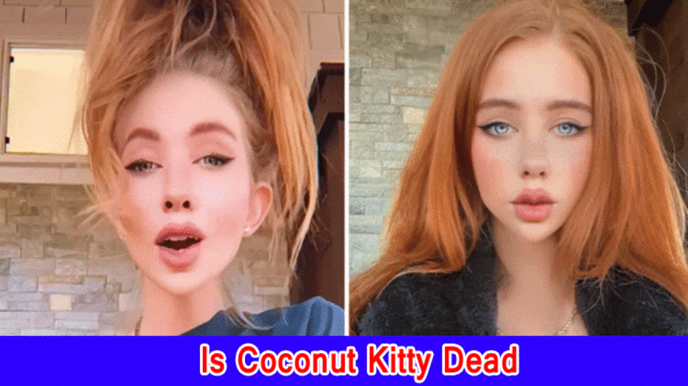 Is Coconut Kitty Dead? Who was Coconut Kitty? How did Coconut Kitty Kick the bucket?