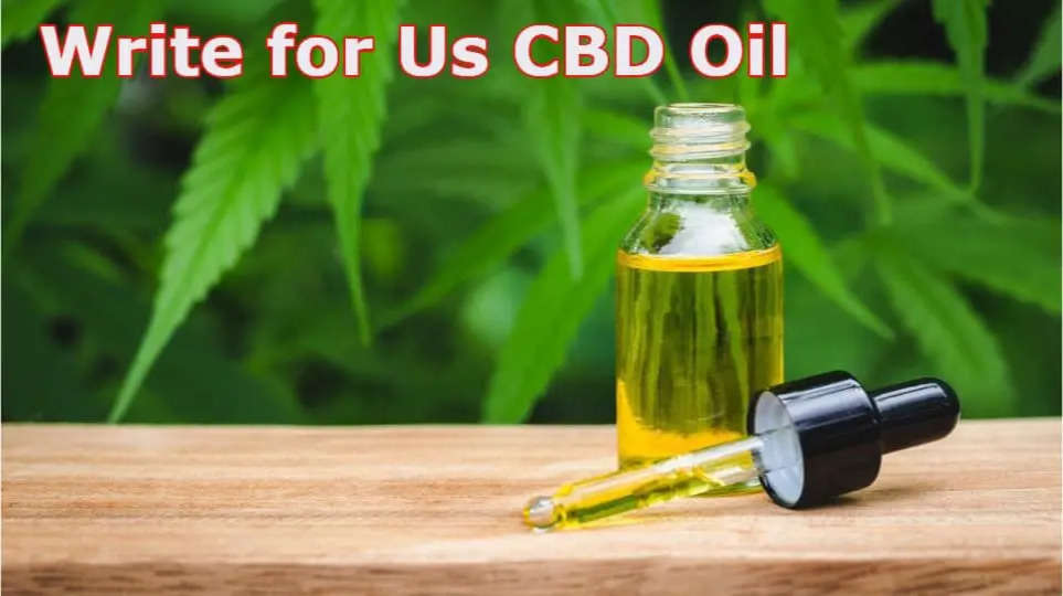 Write for Us CBD Oil – Read And Follow Instructions!