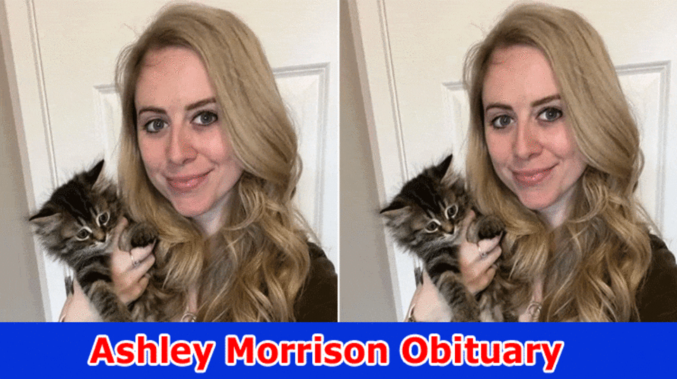 [Update] Ashley Morrison Obituary: How Feline Hero Kick the bucket? Watn To Actually take a look at Her Age, Guardians, Total assets, Level and Other Wiki Subtleties? Checkout History Now!