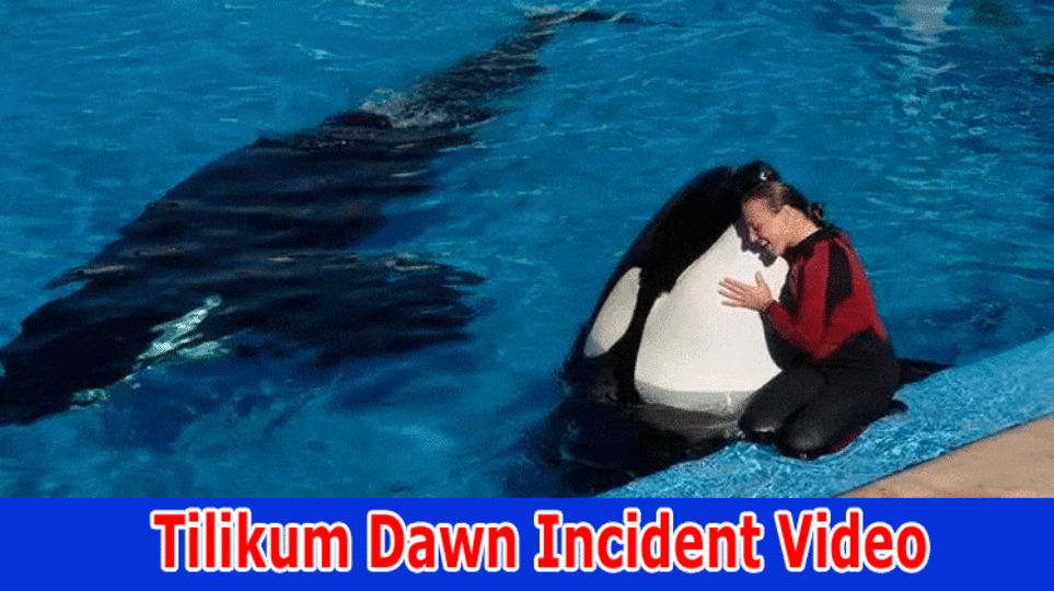 {Watch}Tilikum Dawn Incident Video: Explore Complete Details On Tilikum and Dawn Story 2023