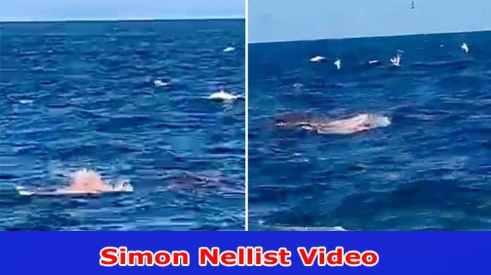 [Full New Video Link] Simon Nellist Video Full (2023) Explore Complete Details On Simon Nellist Shark Attack Footage, And Autopsy Report