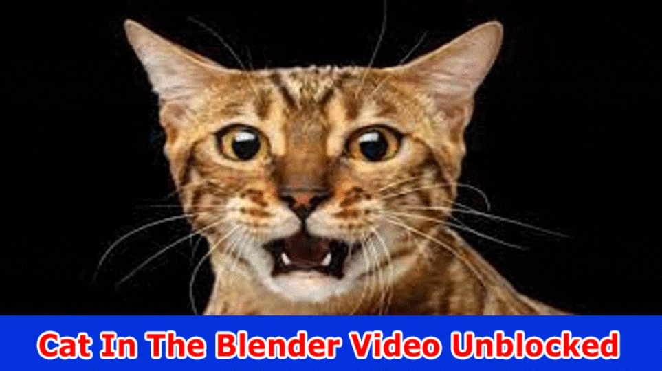 [Full New Video Link] Cat In The Blender Video Unblocked: Check What Is In The Feline in Blender Unique Video