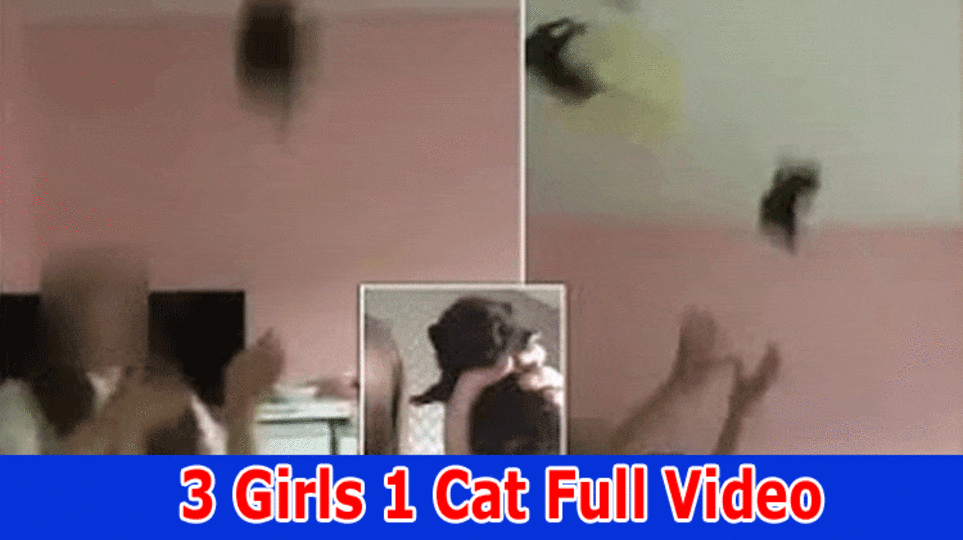 3 Girls 1 Cat Full Video: Viral On Reddit, Tiktok, Instagram, Youtube, Telegram And Twitter