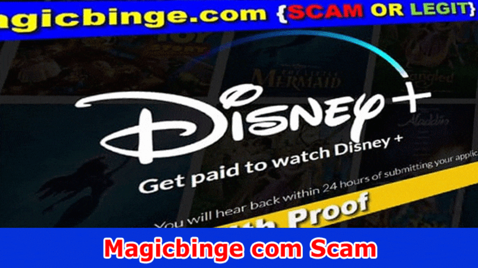 Magicbinge com Scam: Check Audits And AllLegitimacy Focuses Now!