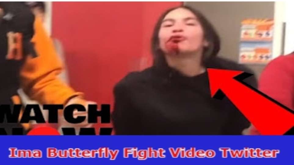 Ima Butterfly Fight Video Twitter: Content Viral? Is Telegram Link Available? Know Now! 2023