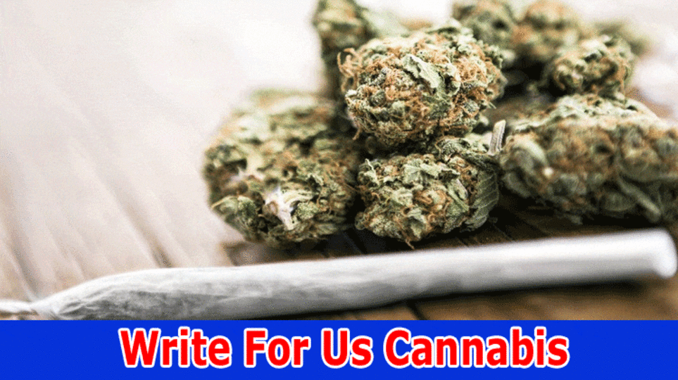 Write For Us Cannabis – Check And Follow Instructions 2023