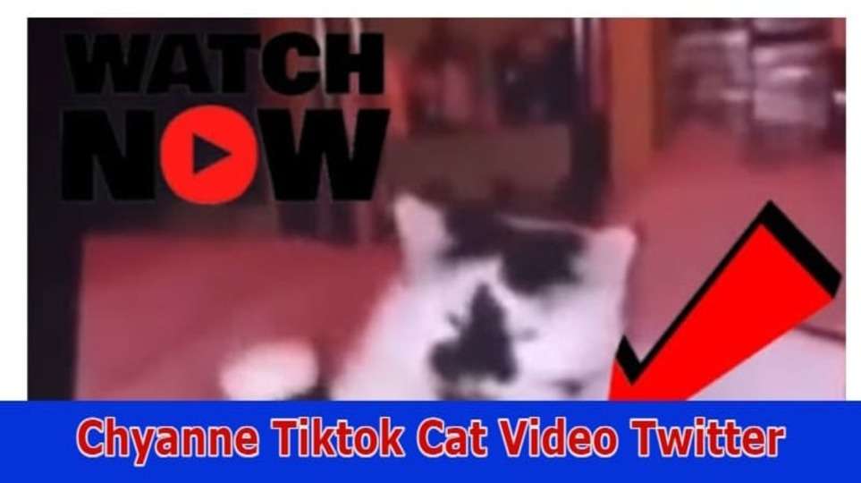 Chyanne Tiktok Cat Video Twitter: Also Explore Details On Chyanne Ceaser From Tik-Tok, Reddit, Instagram, Youtube, Telegram, And Twitter
