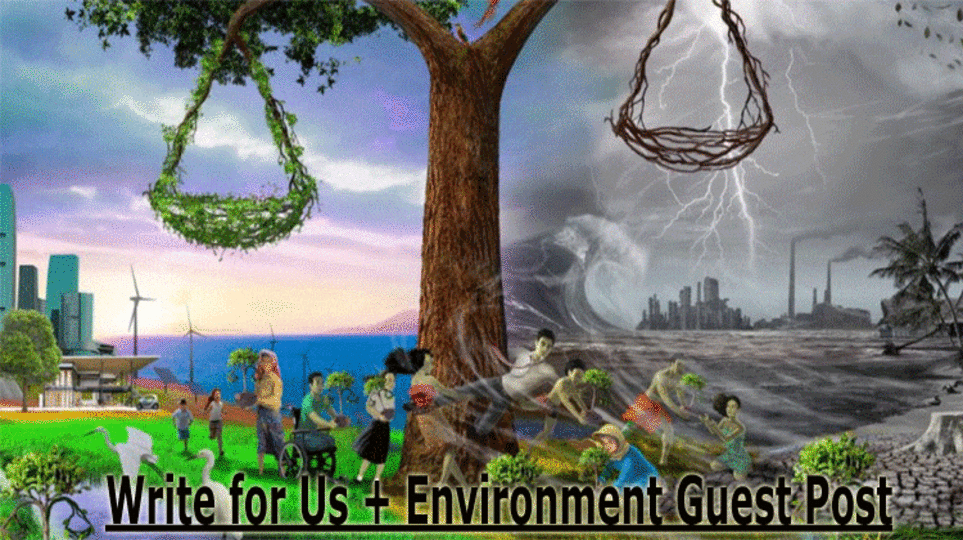 Write for Us + Environment Guest Post: Article Help You To Make A Good Post!