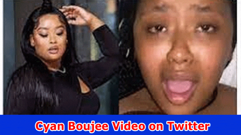 Cyan Boujee Video on Twitter: cut spilled twitter streaks shock on the web