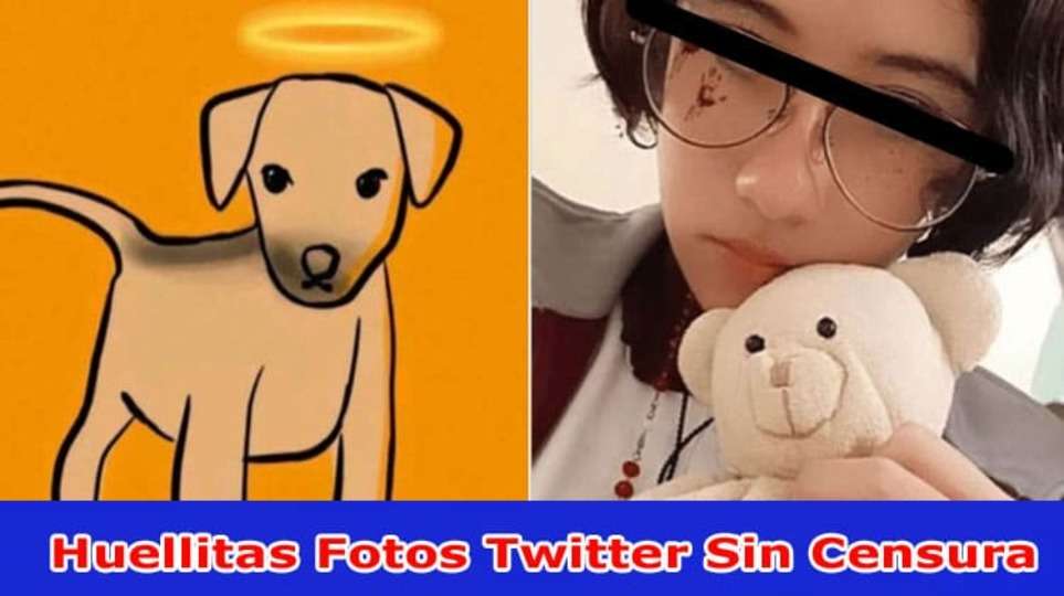 [Update] Huellitas Fotos Twitter Sin Censura (June 2023) How Did Girl Kill The Dog? Check What Is In The Huellitas Fotos Video