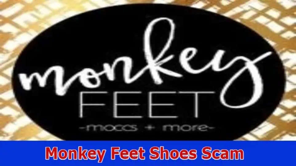 Monkey Feet Shoes Scam: Check Orignality Of Monkey Feet Shoes 2023