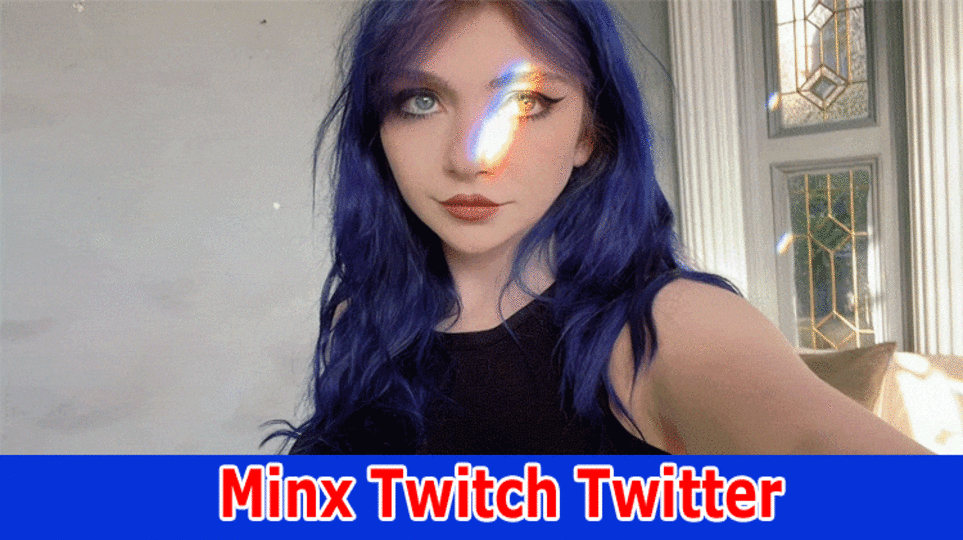 Minx Twitch Twitter: Also Explore Her Height, Age, Awards, And Instagram Post Details