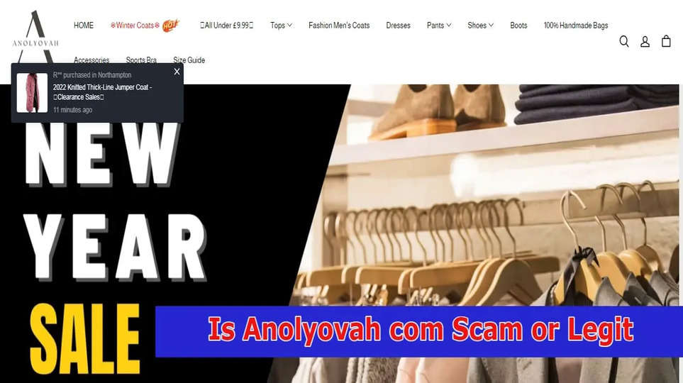 IS ANOLYOVAH COM SCAM OR LEGIT: FULL REVIEWS HERE!{JAN 2023}