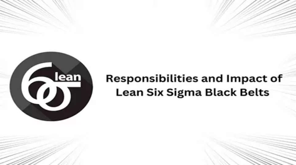 Responsibilities and Impact of Lean Six Sigma Black Belts